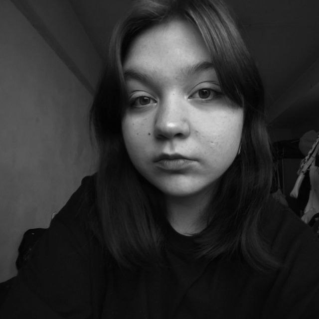 Описание изображения